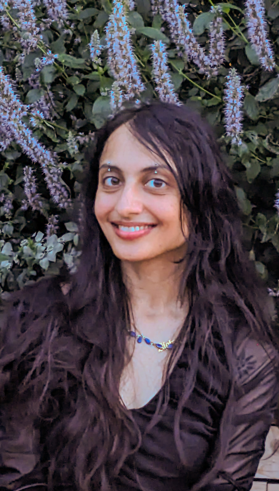 Shiraz Fazli